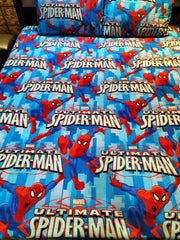 SpiderMan sky Double Bedsheet with 2 Pillow Case