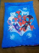 Spidey Team Summer Comforter