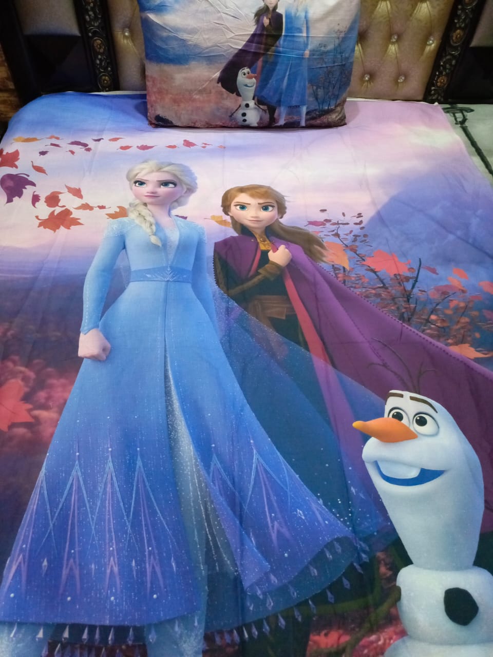 Digital Print Frozen Kids  Bed Sheet Ds # 035