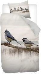 Cotton sateen sparrow king size Bedsheets