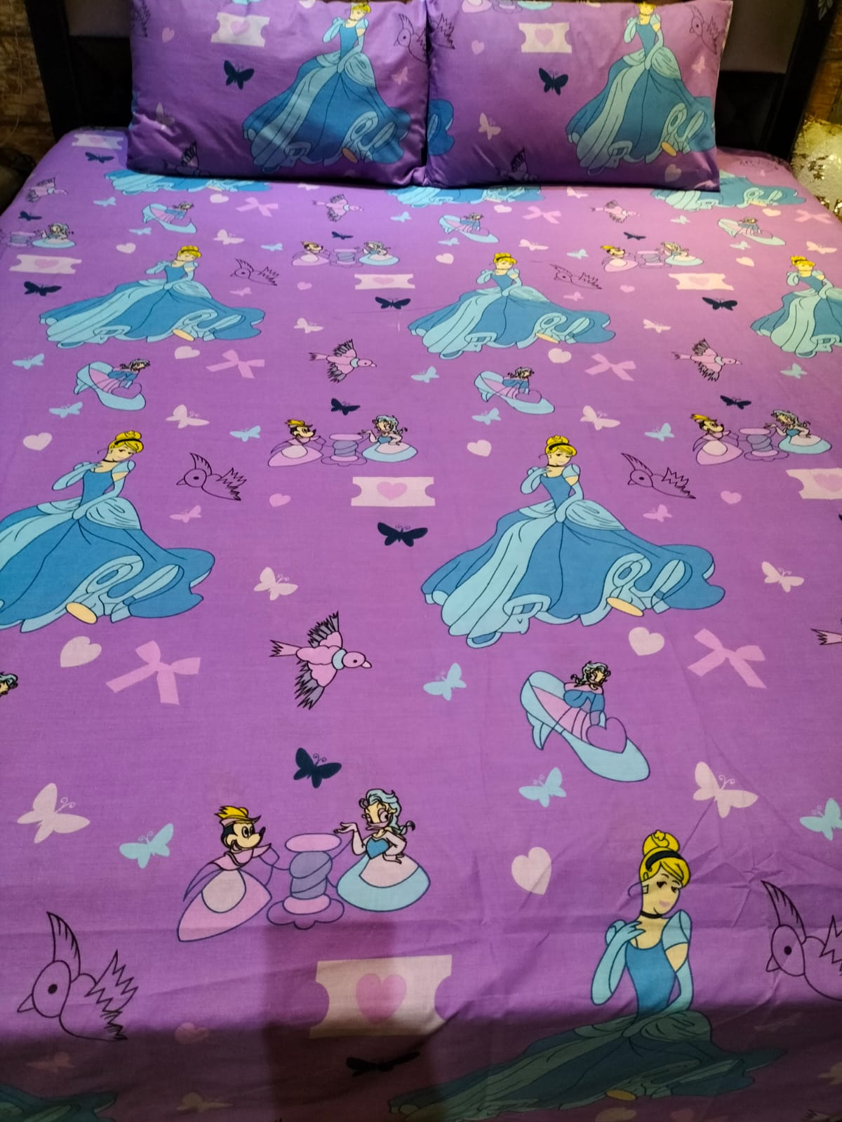 Princess Cartoon Double Bed Sheet DS # 159