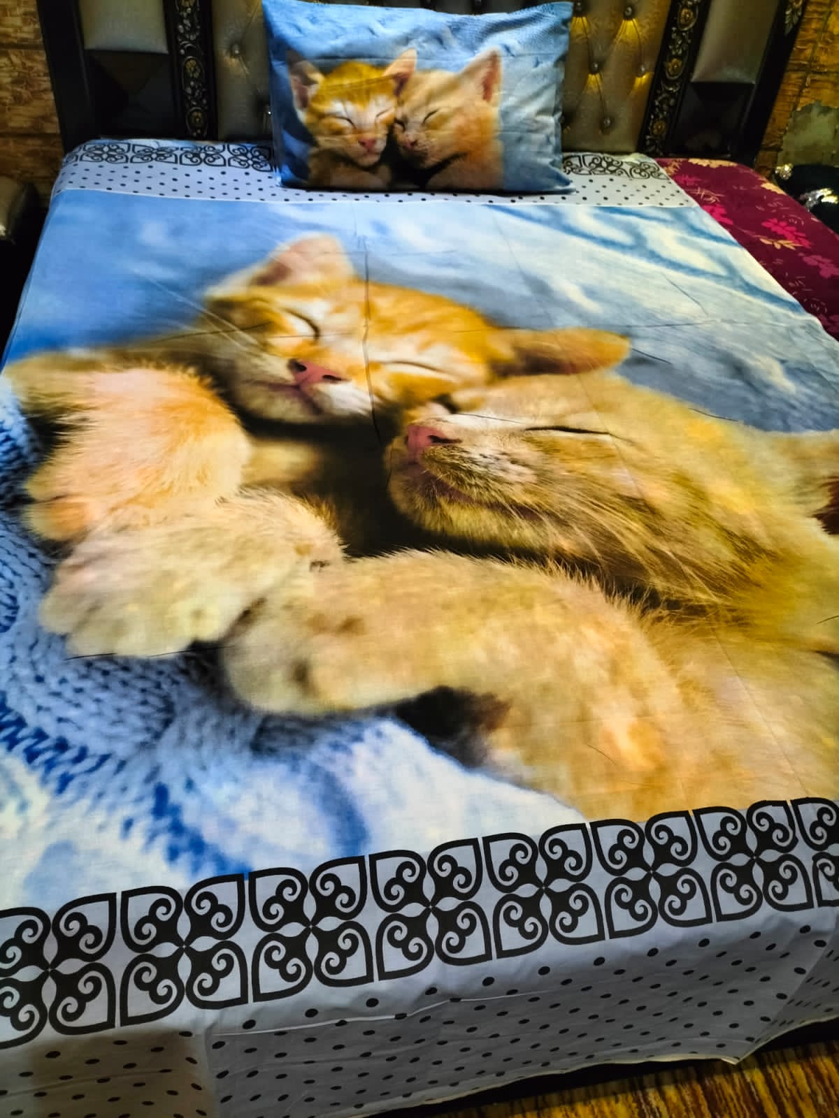 Persian Cats Cotton Bedsheet