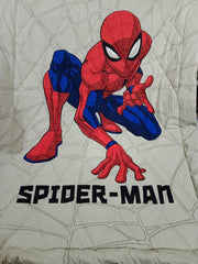 Spider Man Summer Ac Comforter