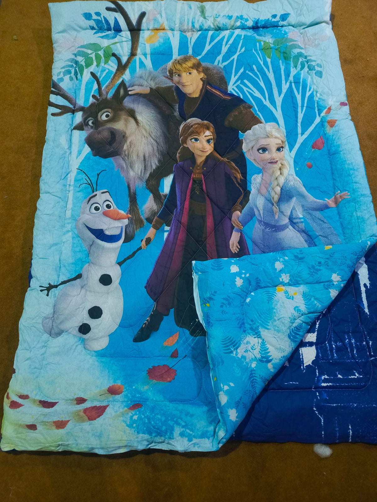 Anna Elsa Fully Theme cotton Bedsheets ET-D137